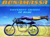 DIFFERENT SHADES BLUE Bonamassa, 2014. Crítica álbum. Reseña. Review.