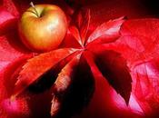 Fall winter colors