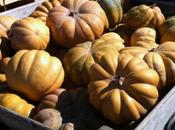 calabazas bayas anafrodisíacas).