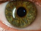 ojos, lupas microscopios