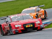 Juncadella molina lucharán todo última válida 2014