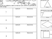 Cálculo perímetro polígonos regulares grado
