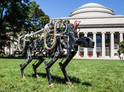 Robot guepardo