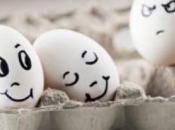 significa soñar celos estar celoso. ¿Tienes dudas?