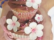 Cupcakes chocolate mermelada moras, blanco kirsch reto alfabeto dulce