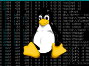 Comandos GNU/Linux Información sistema, sesiones usuarios.