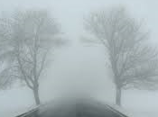 Aspectos interesantes debes conocer soñar niebla