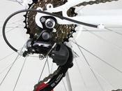 ¿Conocemos fondo mecanismo cambios?