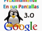 Nueva Actualizacion Google Penguin