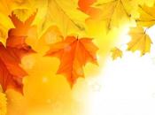 Actividades Otoño para niños Discapacidad Sensorial