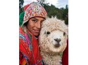 Perú: Tierra Incas