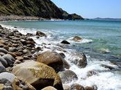 Falda-pantalón: River Island Top, abrigo camisa: Stra...