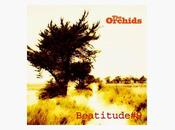 [Disco] Orchids Beatitude (2014)
