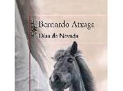 "Días Nevada", Bernardo Atxaga