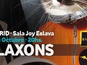 Klaxons actuaran gratis Madrid octubre