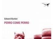 Perro come perro
