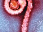 Ebola otros nuevos viejos enemigos…