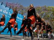 Fiesta colectividades 2014