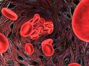 nuevo objetivo tratamientos cáncer sangre
