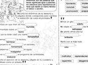 Ampliación vocabulario través sinónimos: grado