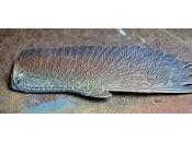 Cómo pintar alas plumas aerógrafo