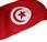 Túnez: ¿una excepción regla?