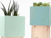 Vase Alessandro Prisco