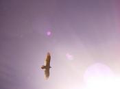 deberías abrazar emociones negativas