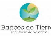 Bancos tierra