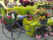 Bicycle Deco