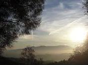 Peregrina, camino haces andar...