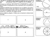 Comparación perímetro círculo algunos polígonos inscritos circunscritos: grado