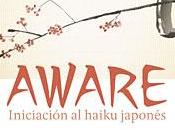 Aware. Iniciación haiku japonés, Vicente Haya
