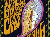 Black Crowes Paint (Live) (2005)