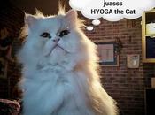 Estamos Agustito LXIX... Hyoga