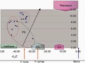 Nuevo trabajo SUBTERRANEAN BIOLOGY