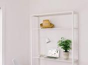 Organización estudio