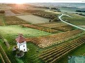 Inspire dron profesional para fotografos cineastas