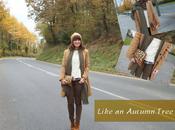 Like Autumn Tree