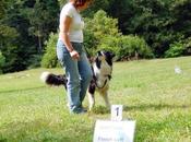 forma diferente practicar obediencia perro