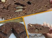 Recetas fit: bizcocho-brownie choco proteinas