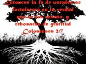 Confía Dios medio Gratitud