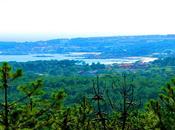 Nuevas pestañas stopcompras: empleo índice