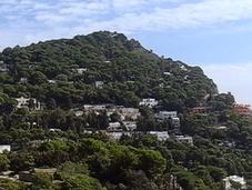 Capri. Guía breve para visitar isla