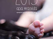 Calendario Vida 2015: felicidad