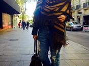 Black+camel.-
