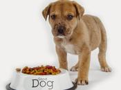 Cómo alimentar perro correctamente