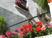 jardín octubre