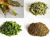 Mezclas hierbas aromáticas