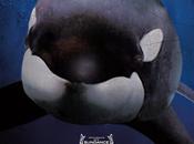 importancia documentales: efecto Blackfish